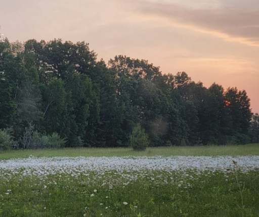 Screenshot 2025-11-10 at 9.47.07 AM