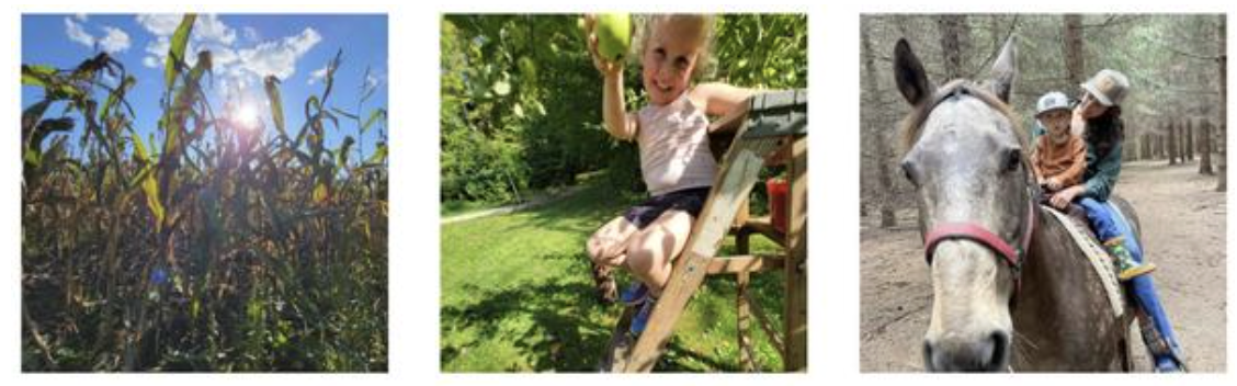 Screenshot 2025-11-14 at 3.35.33 PM