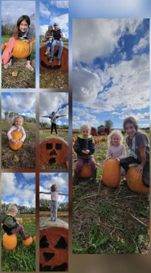 Screenshot 2026-01-17 at 11.41.07 AM