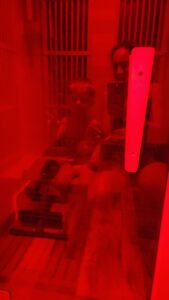 ClAKTlNuYXBjaGF0LzEzLjc3LjAuNTIgKFNNLUc5OThVMTsgQW5kcm9pZCAxNSNHOTk4VTFVRVNJSFlMMSMzNTsgZ3ppcCkgVi9NVVNIUk9PTQ==